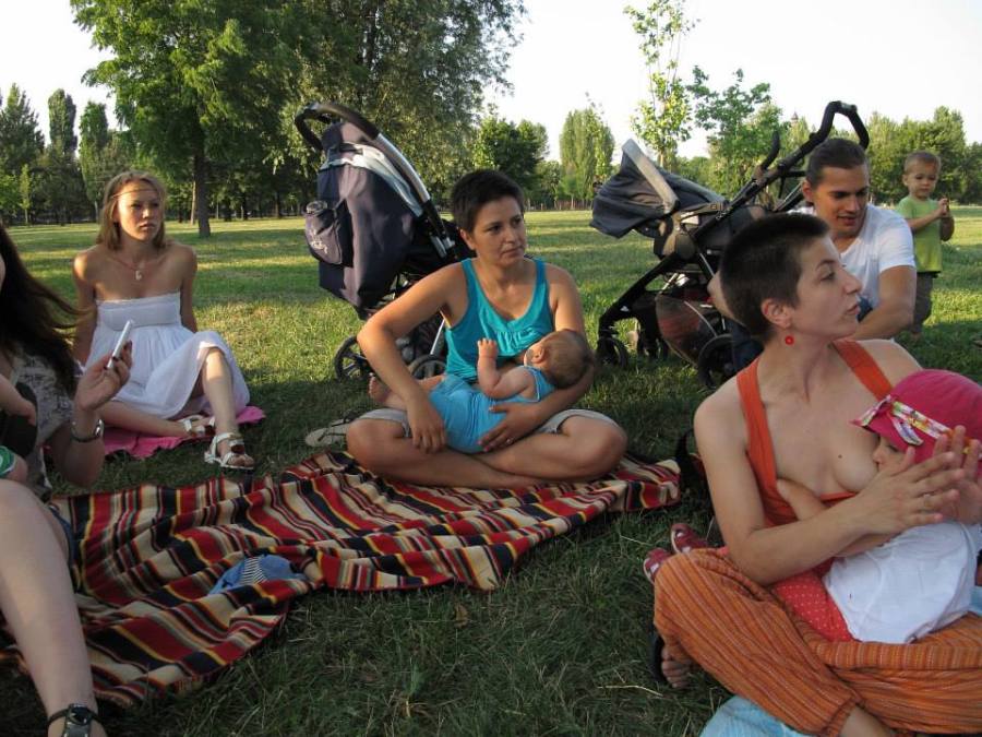 1002821_555021511227820_269917253_n