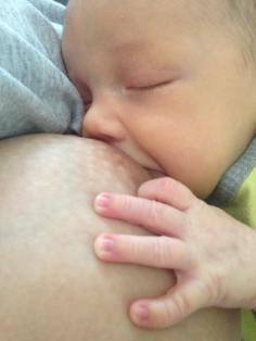 14956436_1811745365739879_7939515380369724008_n